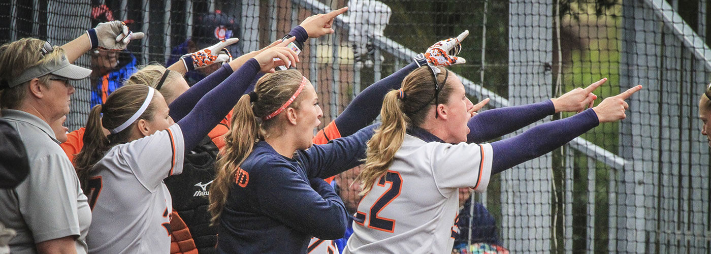 Softball League Management Software