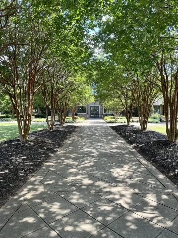 Walkways at Tyger River Park